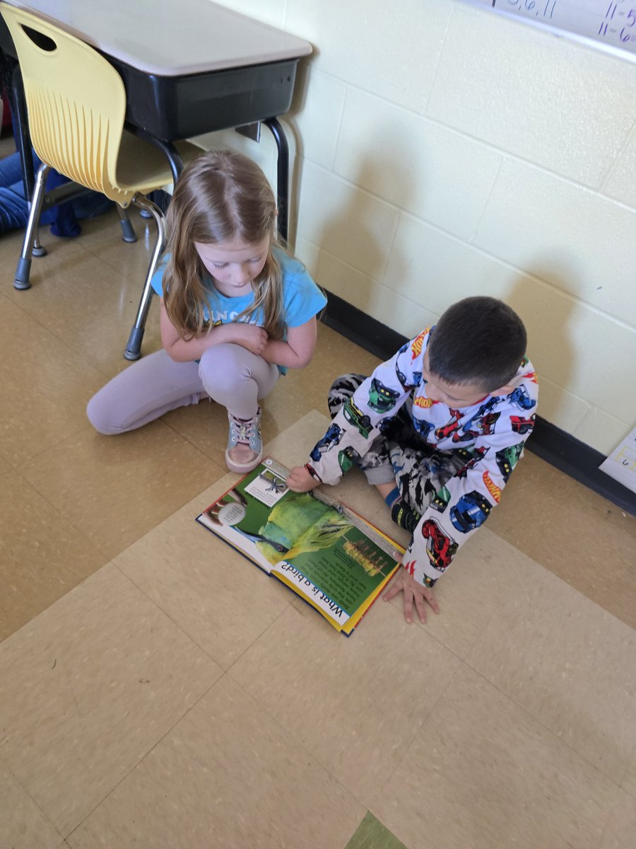 Ms_Gilbert21's tweet photo. We have loved learning about birds and becoming researchers! Learning about text features in nonfiction texts is so much fun with books!
 @Hamilton_LN https://t.co/iGjelJRMYj