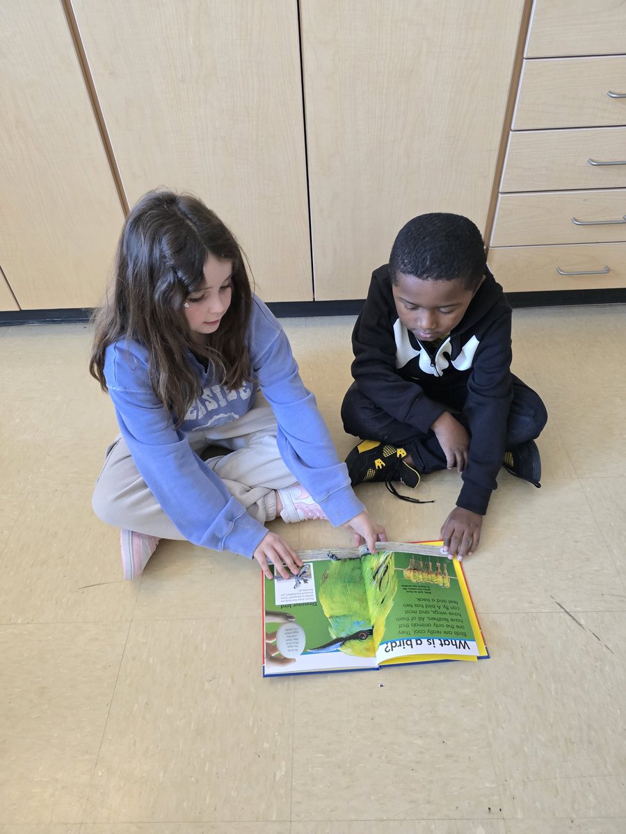 Amanda Gilbert (@ms_gilbert21) on Twitter photo We have loved learning about birds and becoming researchers! Learning about text features in nonfiction texts is so much fun with books!
<a href="/Hamilton_LN/">Linden Elementary</a> We have loved learning about birds and becoming researchers! Learning about text features in nonfiction texts is so much fun with books!
<a href="/Hamilton_LN/">Linden Elementary</a>
