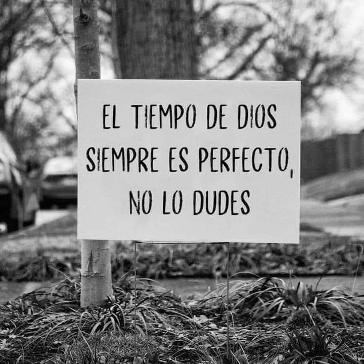 AguilassdeDios's tweet photo. https://t.co/i2nnDwoiFX