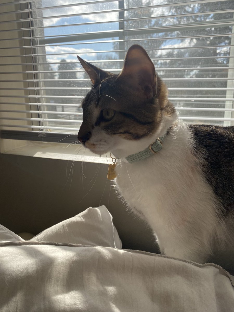 rin 🪴🌱 tweet media