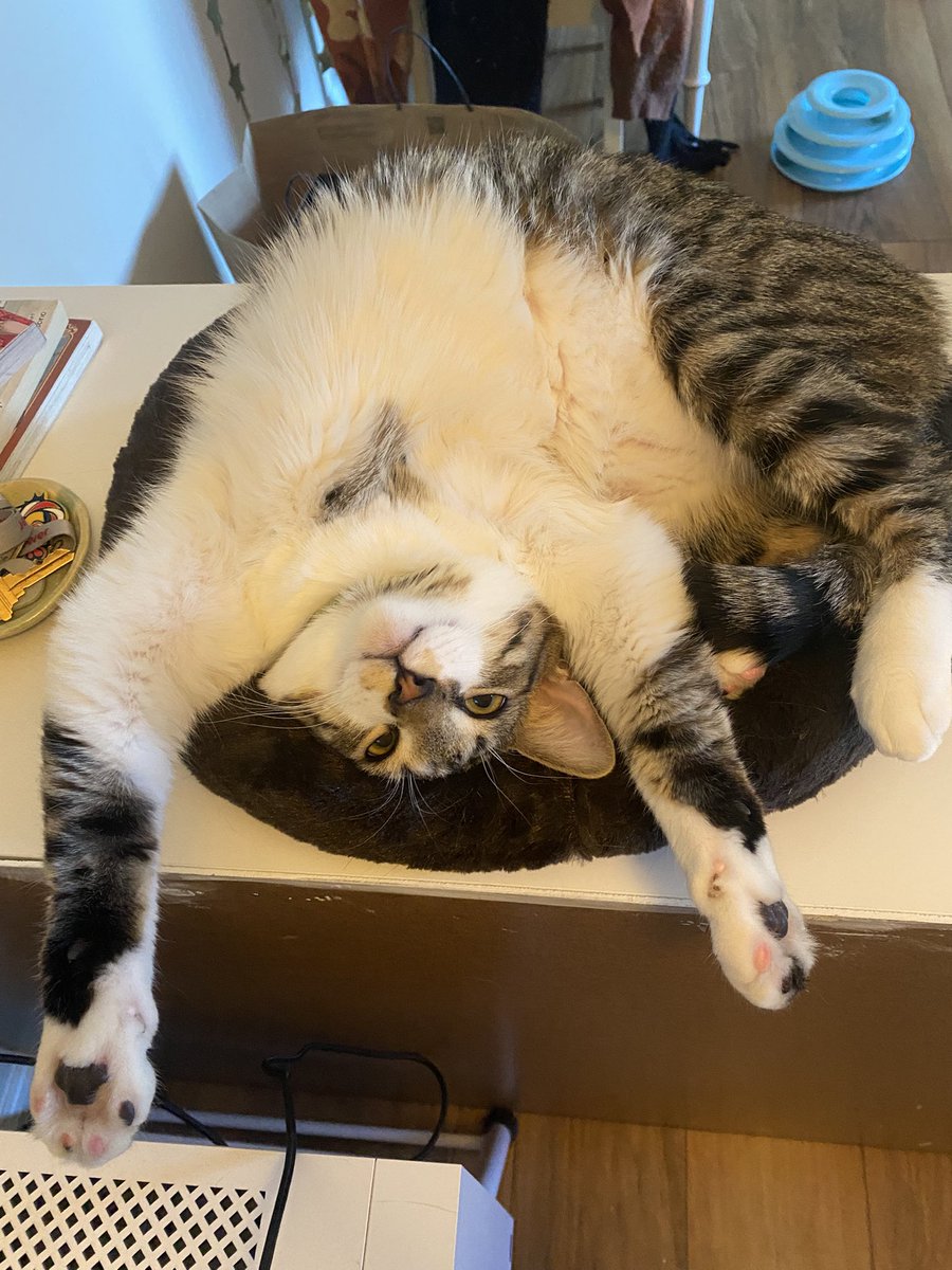 rin 🪴🌱 tweet media