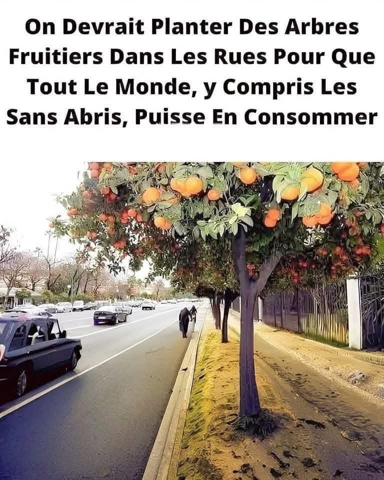 Québec FIER tweet media