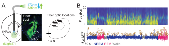 Dan Michele tweet media