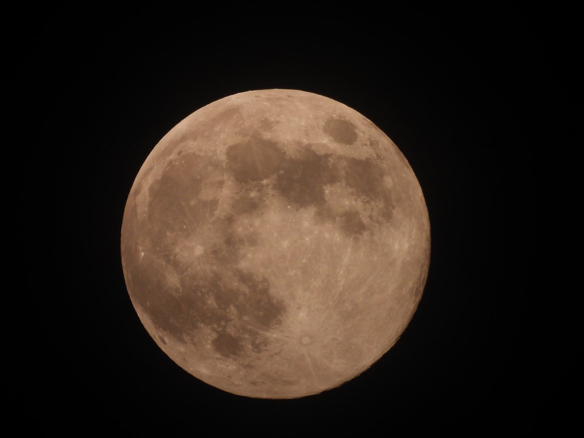 LifeOnSheppey tweet media