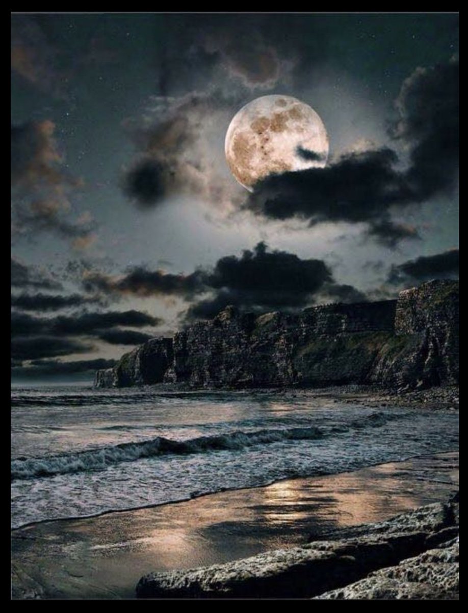 "The heart of man is very much like the sea, it has its storms, it has its tides and in its depths it has its pearls too."
Vincent van Gogh