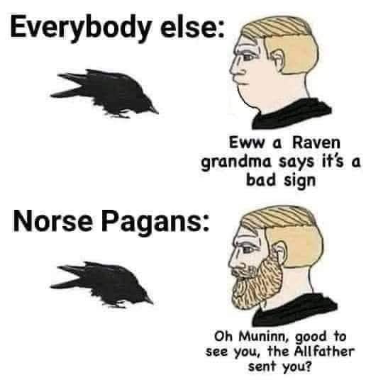 KyleDHester's tweet photo. I feel seen. https://t.co/Z4pdxebI80