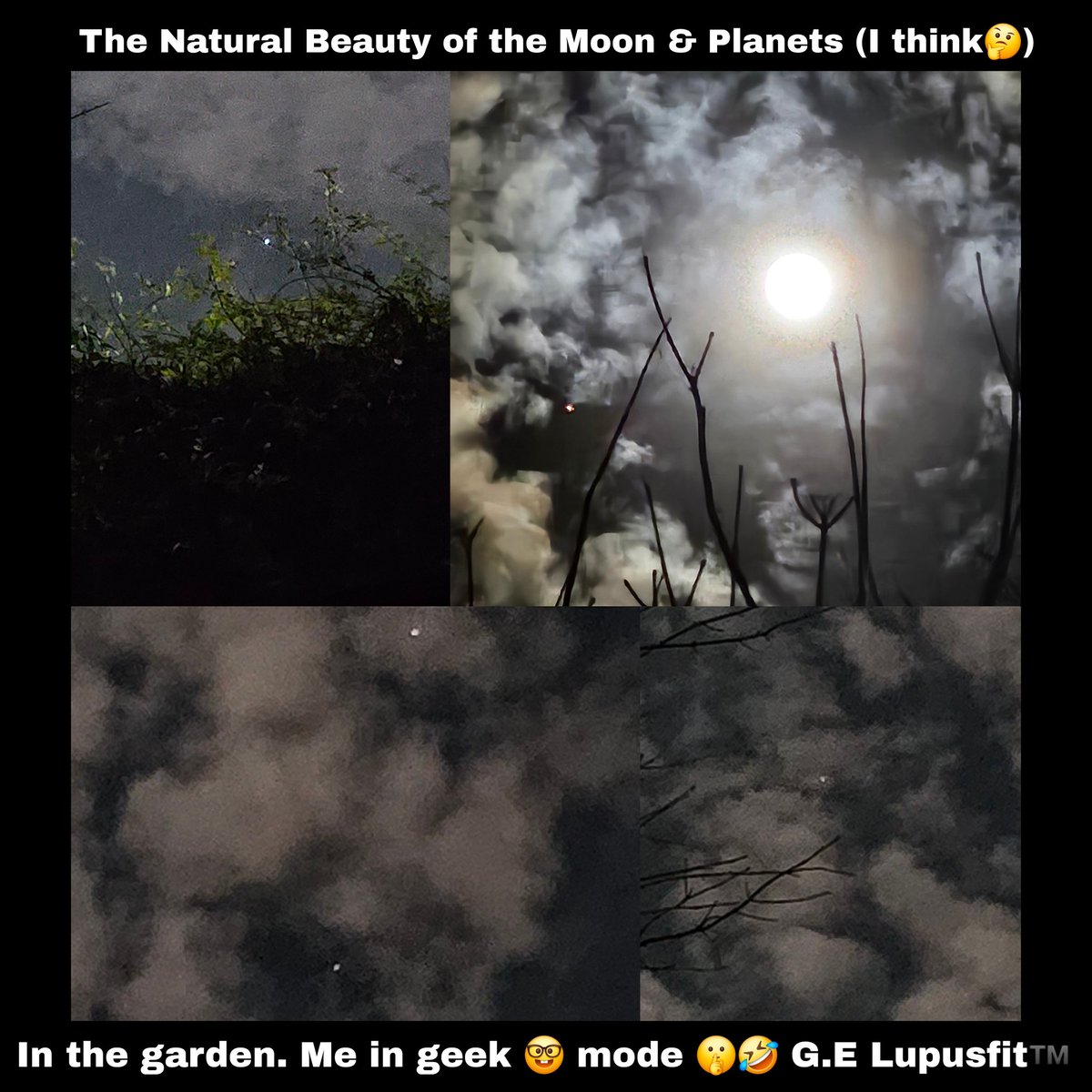 GeorgiaEinstein's tweet photo. #MondayMotivation Full Moon: Wolf Moon Energy. #indoor #outdoor #park #winter #active  G.ElliottServices Lupusfit™️ #freelance #mind #body #yoga #fitness #health #wellbeing #muscle #tone #strength #stretch 🫀 #exercise #goals #Motivation General &amp; #Lupus #raynauds #CKD #advocate https://t.co/m7USHC8Oto