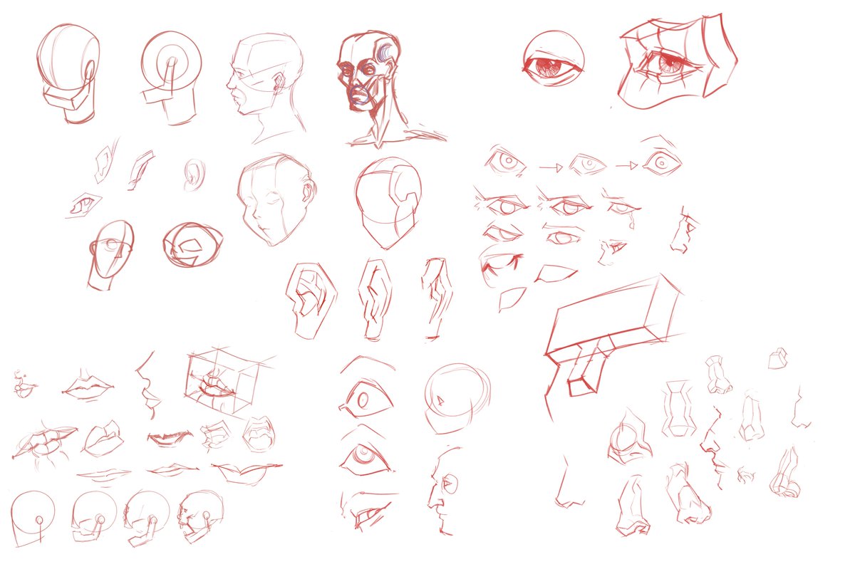 koankitsu's tweet photo. Estudos de anatomia https://t.co/AeDGiBG9vF