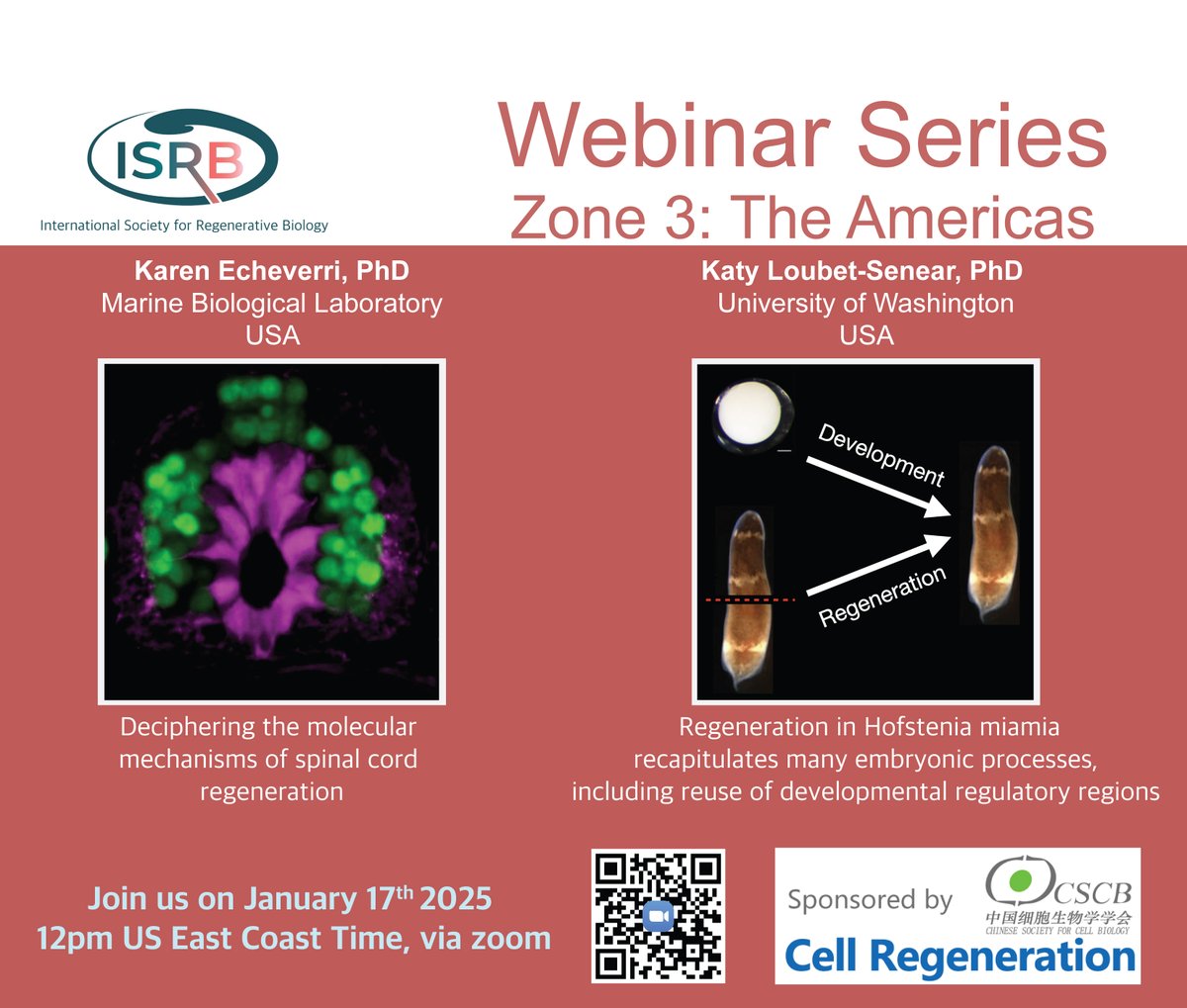 International Society for Regenerative Biology (@isrbio) on Twitter photo 🚨ISRB Webinar - The Americas 🚨First one of the year! 🥳 Happening on January 17th, 12pm US East Coast Time, featuring Karen Echeverri from <a href="/MBLScience/">Marine Biological Laboratory (MBL)</a> and Katy Loubnet-Senear from
Phil Abitua's lab <a href="/Ohnolog/">Phil Abitua 🧬</a> <a href="/UW/">University of Washington</a>. Find all details at isrbio.org/event-6026206 🚨ISRB Webinar - The Americas 🚨First one of the year! 🥳 Happening on January 17th, 12pm US East Coast Time, featuring Karen Echeverri from <a href="/MBLScience/">Marine Biological Laboratory (MBL)</a> and Katy Loubnet-Senear from
Phil Abitua's lab <a href="/Ohnolog/">Phil Abitua 🧬</a> <a href="/UW/">University of Washington</a>. Find all details at isrbio.org/event-6026206