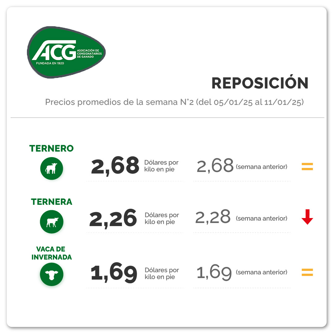 consignatarios1's tweet photo. REPOSICIÓN:
Continúa la poca oferta y la buena demanda en todas las categorías.

#mercadoganadero #ganado #ganadería #negociosrurales #somosreferencia https://t.co/OADRN4BJ0k