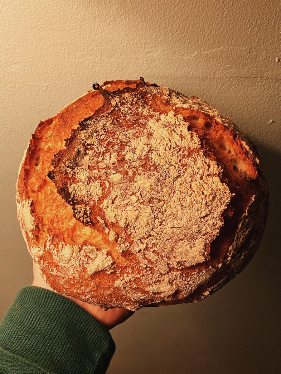 Adam James Pollock tweet media