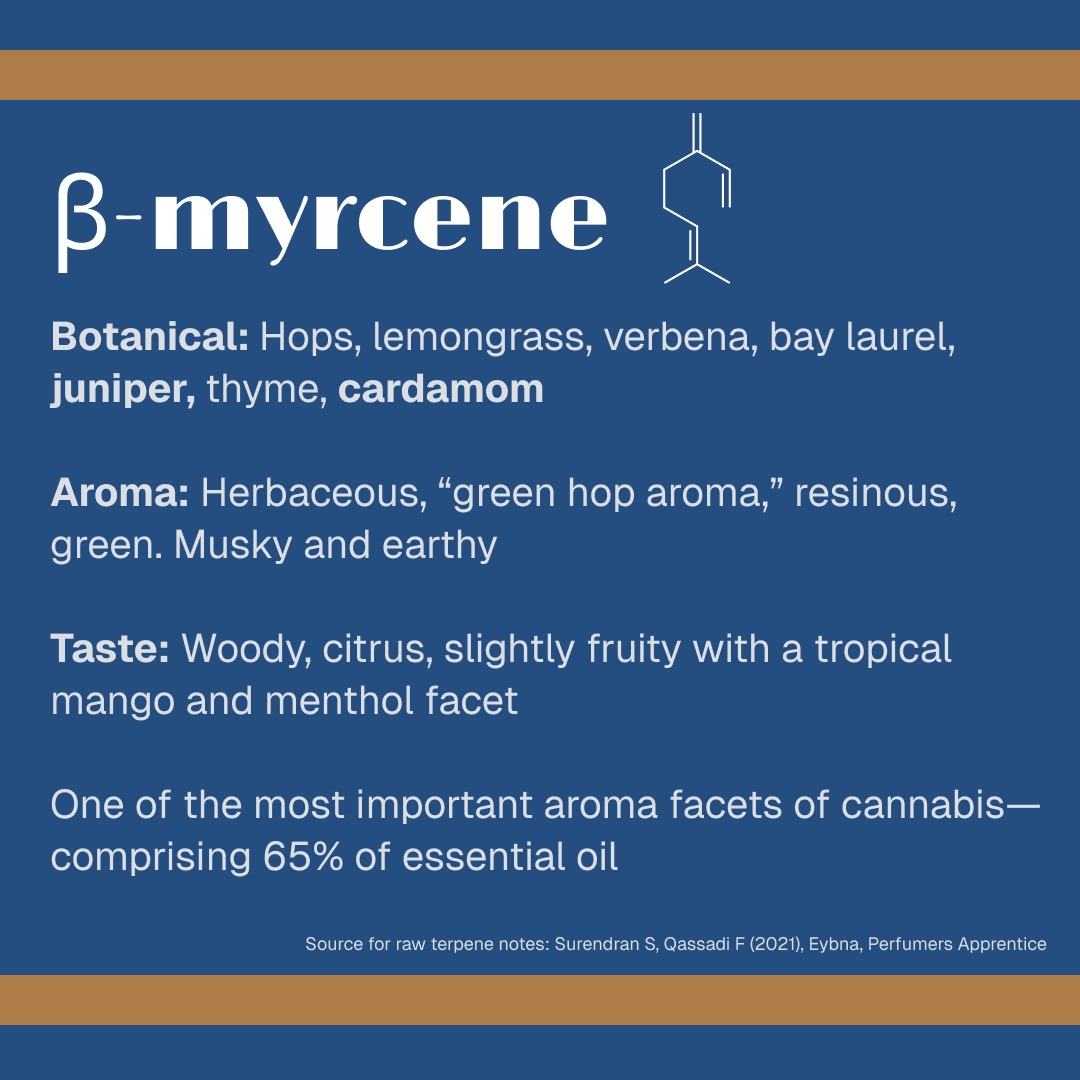 the GIN is IN tweet media