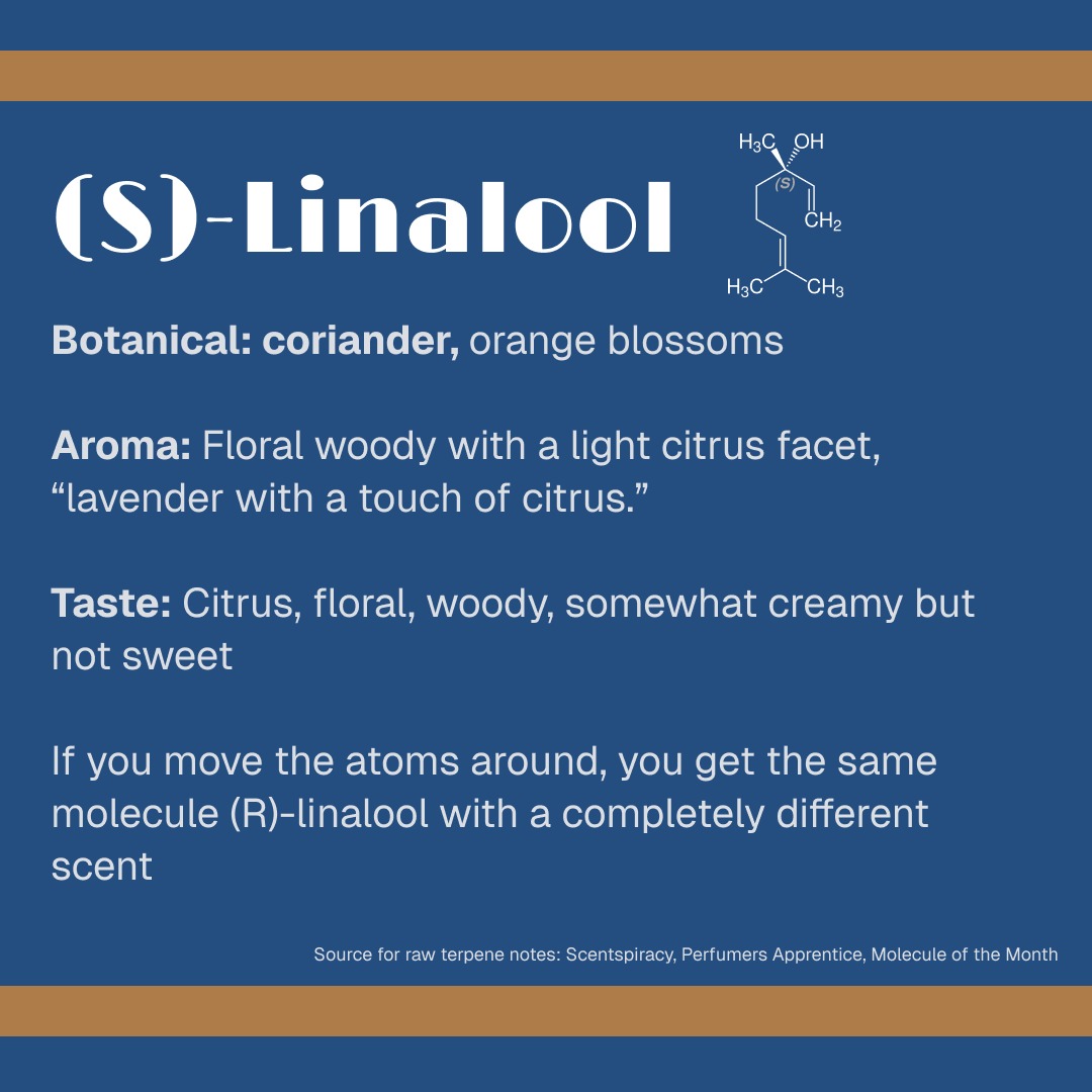 In Gin we talk so much about flavor and botanical, and so rarely talk about what we're actually smelling and tasting. 

Today let's introduce three of the most common terpenes found in gin, and identify a couple botanicals that contribute these terpenes. 

#GinIsIN
#GinFlavors