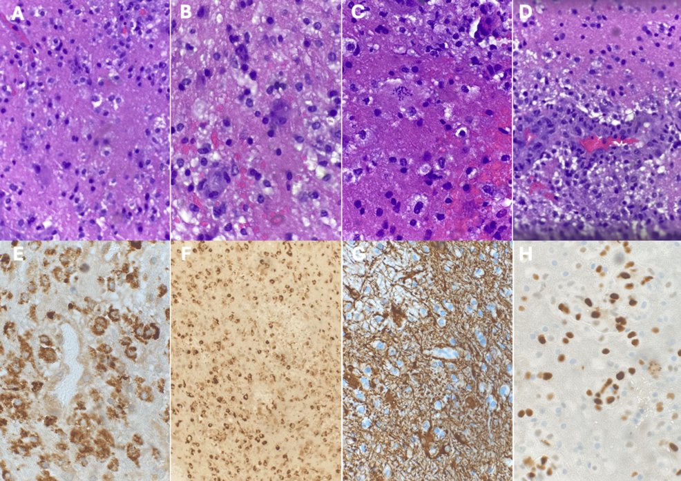 Dr. Brandon Beaber tweet media