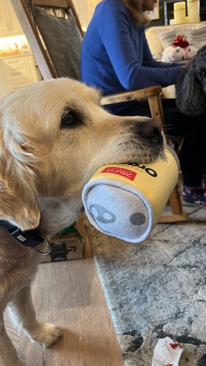 Mill Street Brewery tweet media