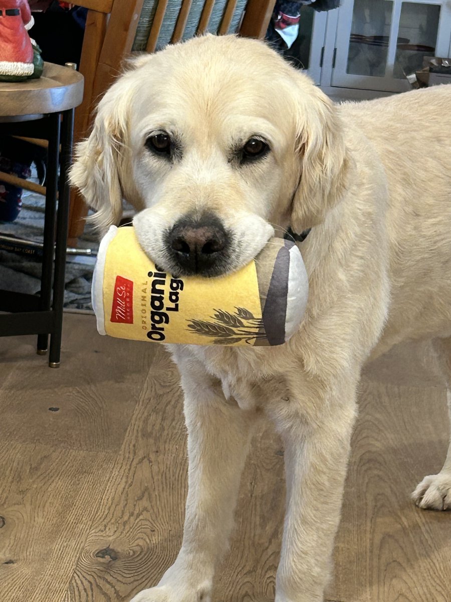 Paws and pours—because even the goodest pups know their favourite ‘beer’ is always within reach. 🐾🍺Our Mill Street dog toys are available for purchase from our Mill Street Toronto &amp; Ottawa Brewpub stores, online and in-person!