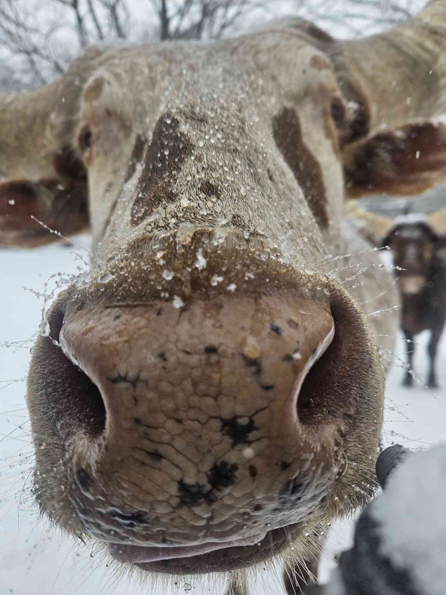 Philly Zoo tweet media