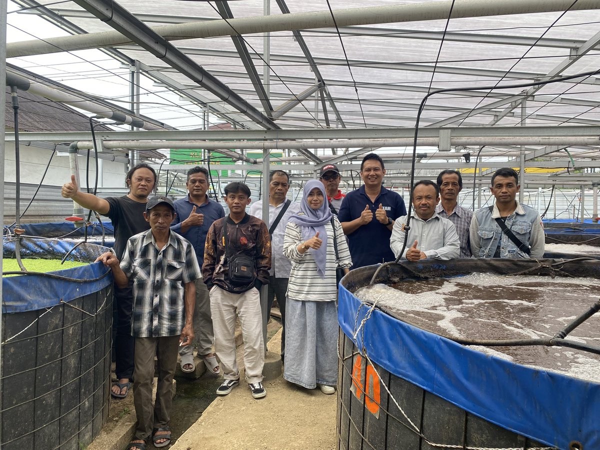 IstiAnggih's tweet photo. Sabtu (16/11/2024), Anggih Isti, Luhkan Kab.Wonosobo mendampingi studi banding Bioflok Pokdakan “Mina Tirta Wening” di Arman Bioflok https://t.co/RhXyBBbeLr