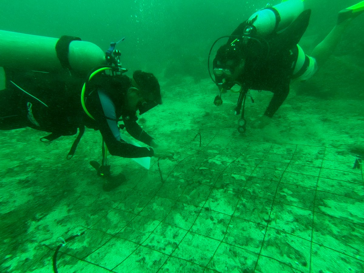 CONANP_mx's tweet photo. El Parque Nacional Zona Marina de la #IslaIsabel es un espacio natural que simboliza nuestro compromiso con la protección de la biodiversidad marina y la sostenibilidad ambiental. 🌅
Desde su creación ha sido un pilar fundamental en el cuidado de sus ecosistemas marinos. 🦭🐟🦆 https://t.co/LnDZ9KNAtS