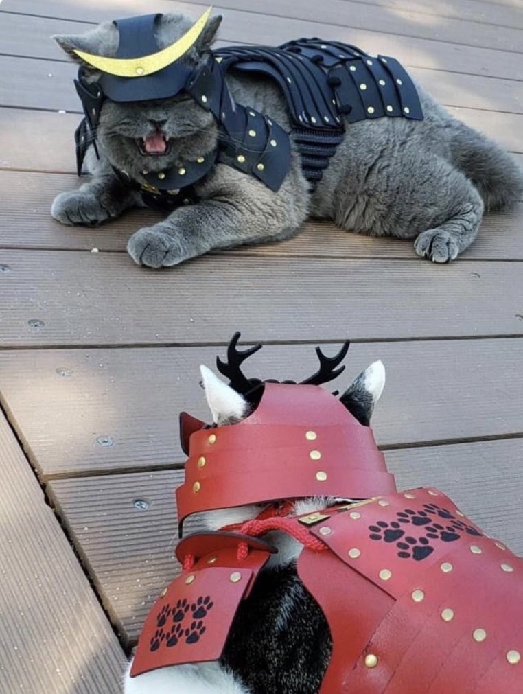 "Betray the Shogun?"

                       "He himself was once like us."

"I do not agree!"