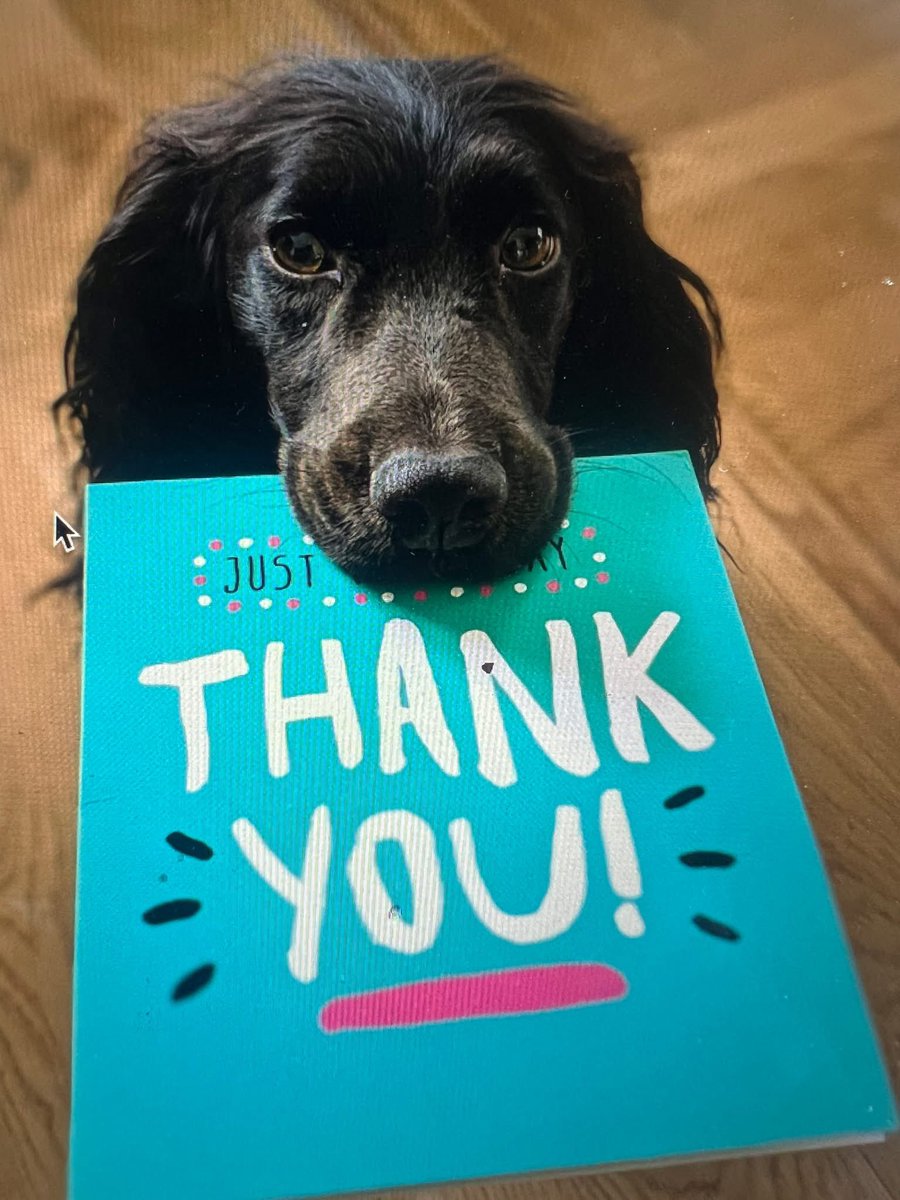 SafeBears tweet media