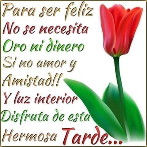 JacquelinaCortG's tweet photo. 🌱❤️🌹🌱❤️🌹🌱❤️🌹🌱❤️🌹🌱❤️🌹🌱❤️🌹🌱❤️🌹🌱 https://t.co/HpusL47LI2