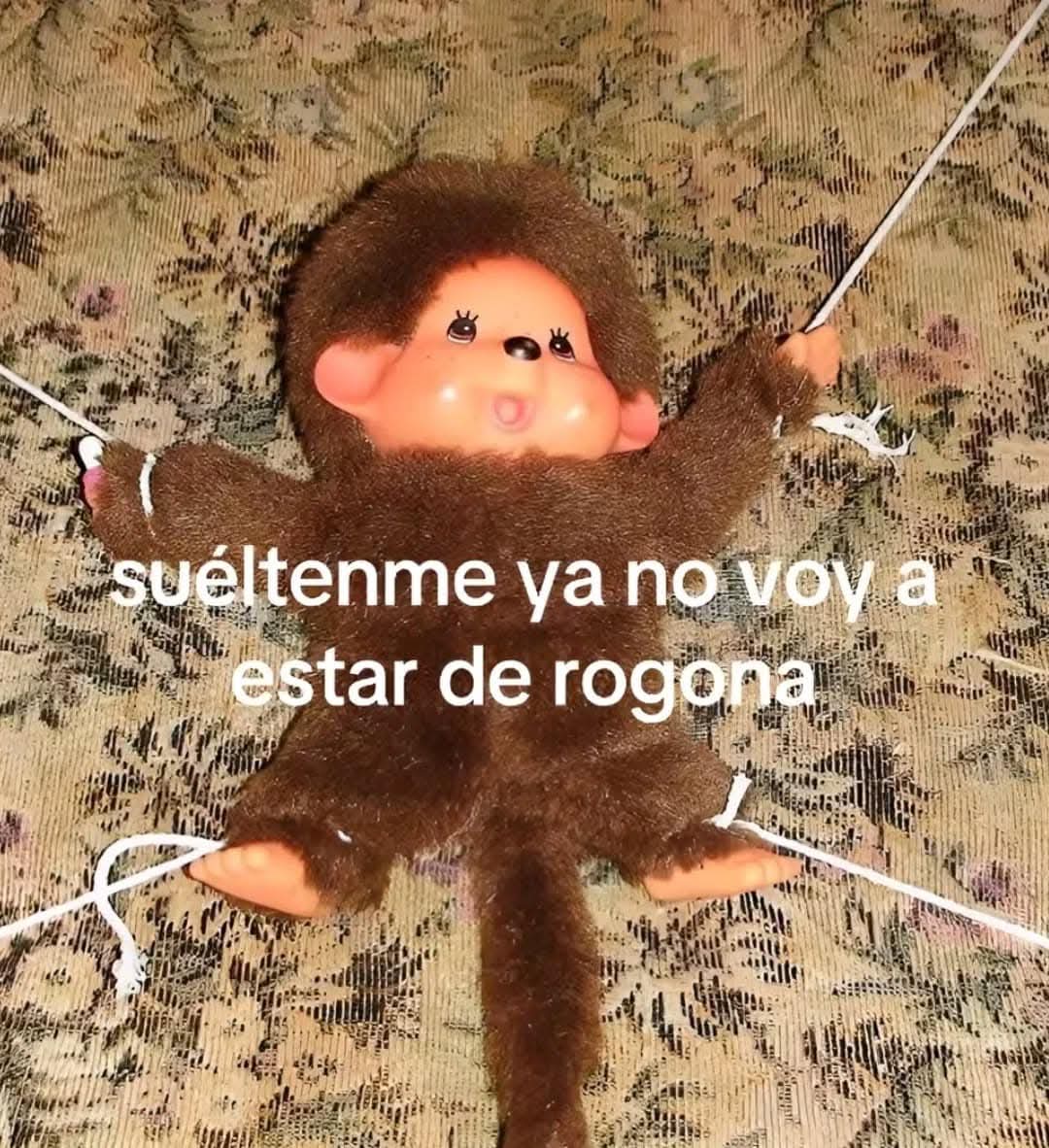En Júpiter (@en_jupiter_) on Twitter photo 