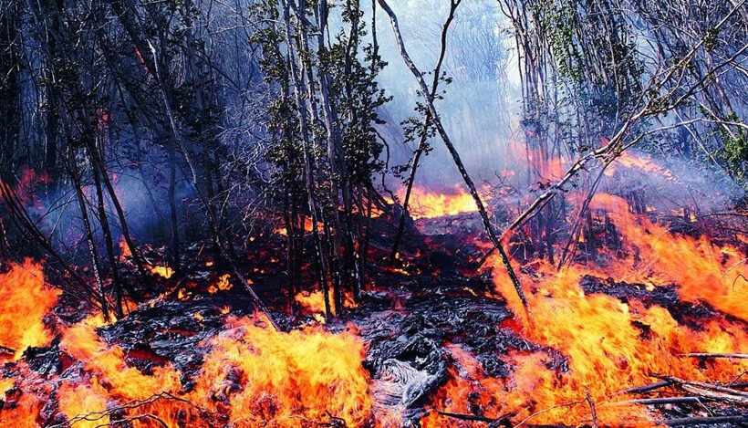 El Cuerpo de Guardabosques de Cuba anunció el inicio de la Campaña de Protección contra Incendios Forestales, que constituye un sistema nacional encargado de prevenir y enfrentar su estallido en la vegetación y bosques.

En #PeriodicoGiron de #Matanzas:
giron.cu/2025/01/13/gua…