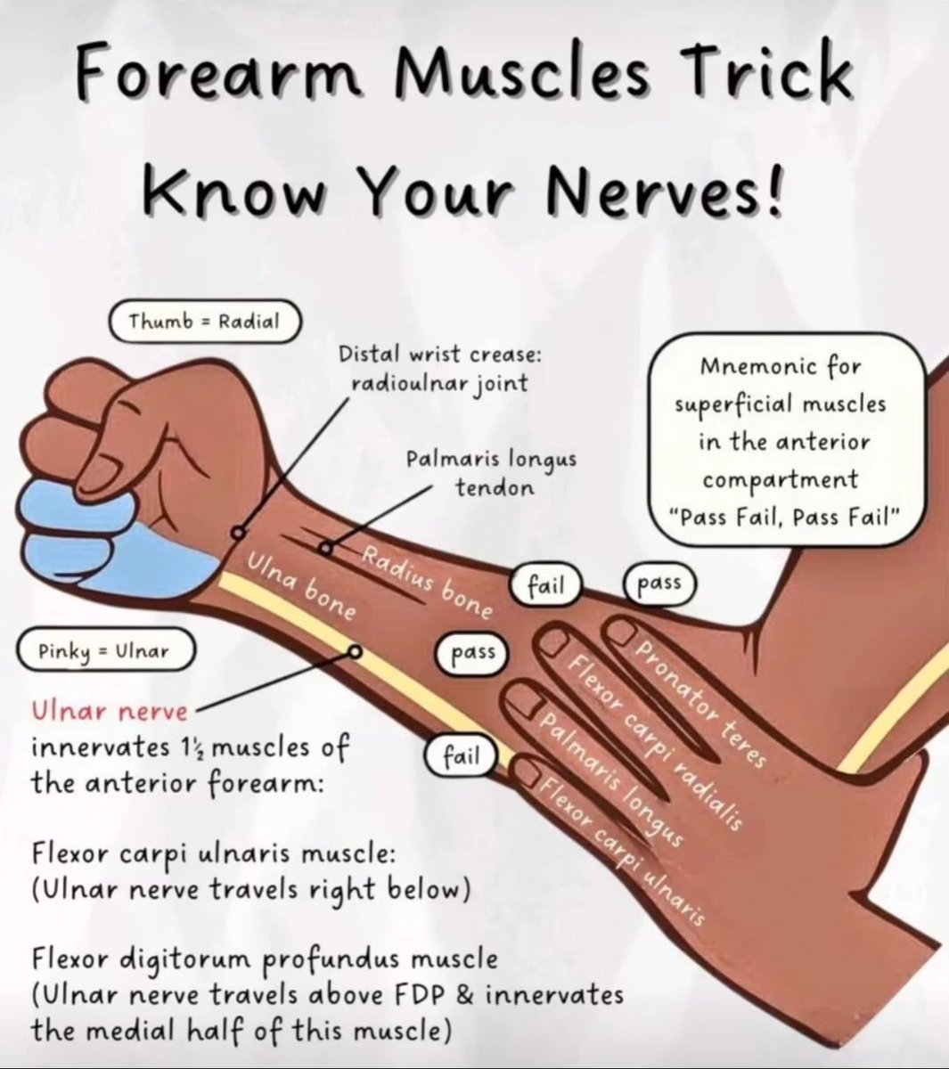 Oren Gottfried, MD tweet media