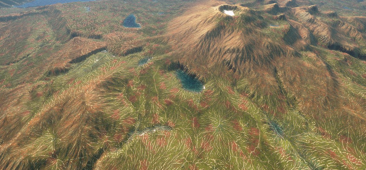 BioGridGame's tweet image. I tried combining procedural noise and low-res water sim data. Here's a sort of failed attempt at drainage basins, made by taking a gradient and then divergence of directional gabor noise. It's not very realistic, nor cheap, but still pretty neat for a simple single pass noise.
