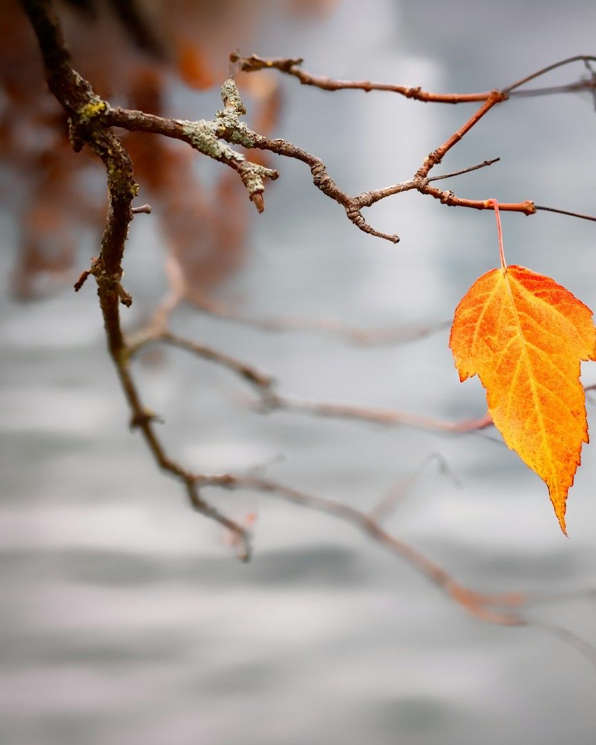 theopioidspoonproject tweet media