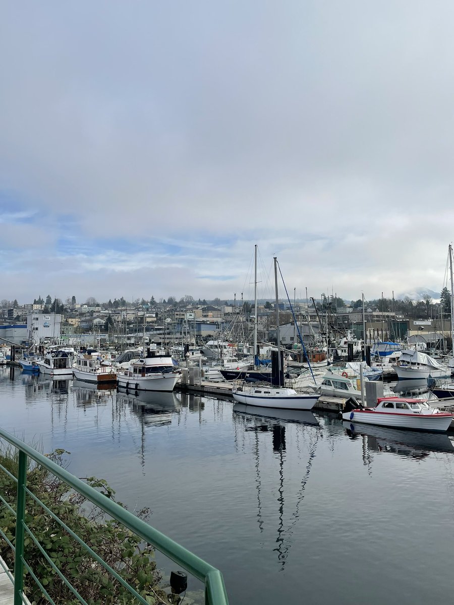 Nicholas M. Pescod tweet media