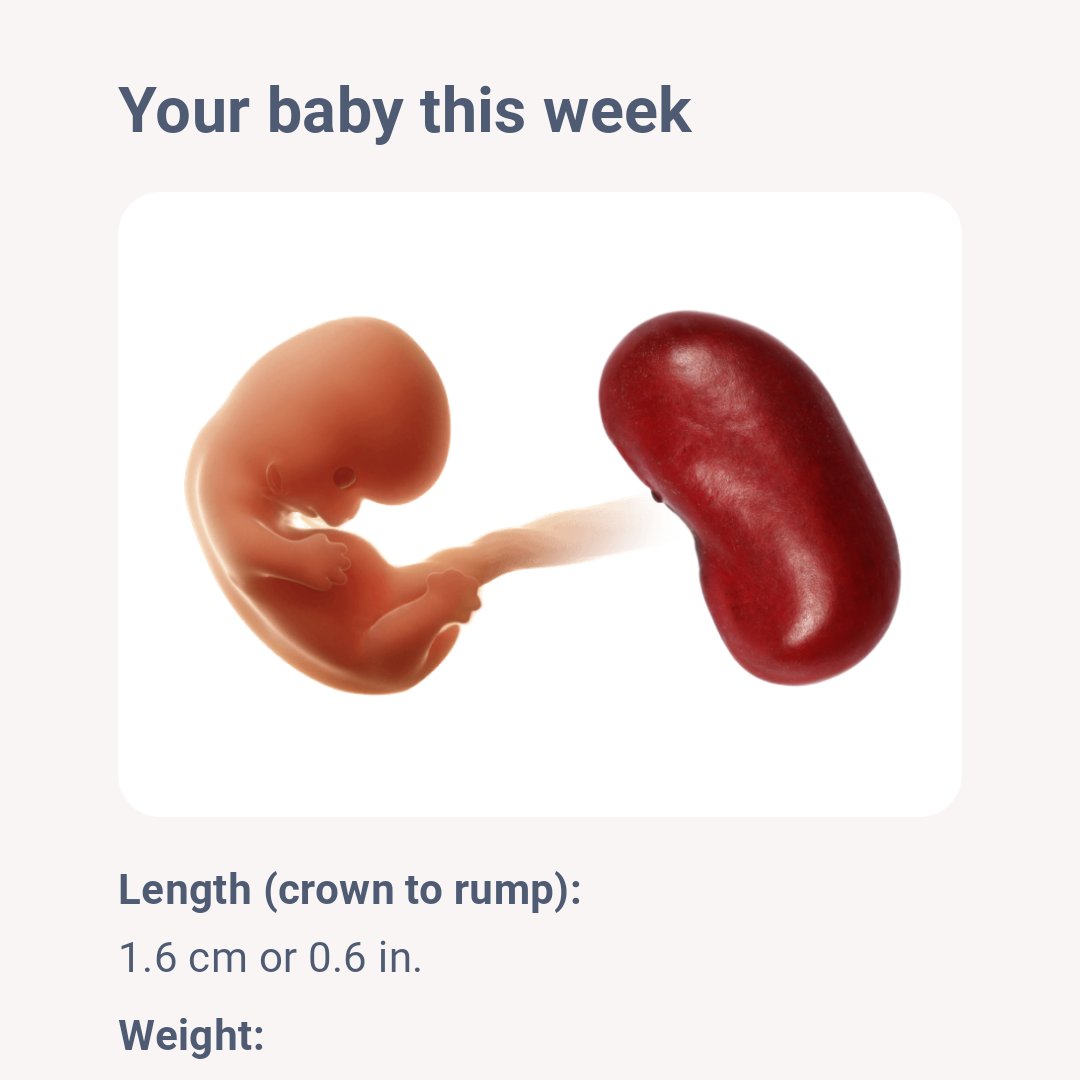 Kali Kitty ❤️ tweet media