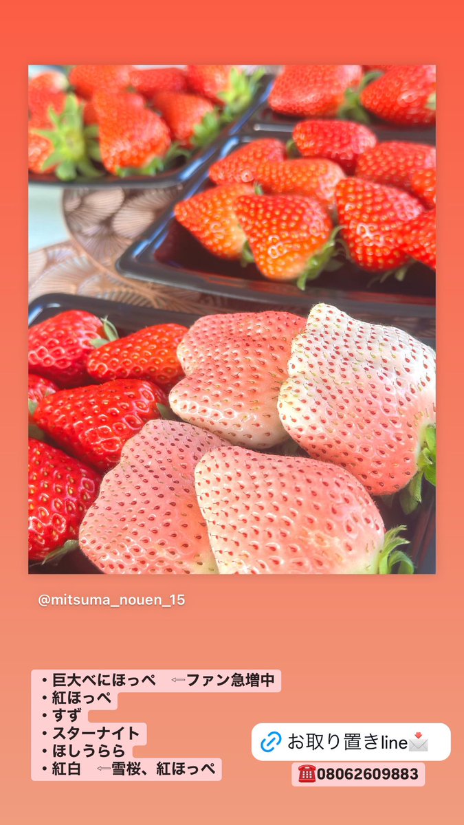 いちご様お取り置き中
