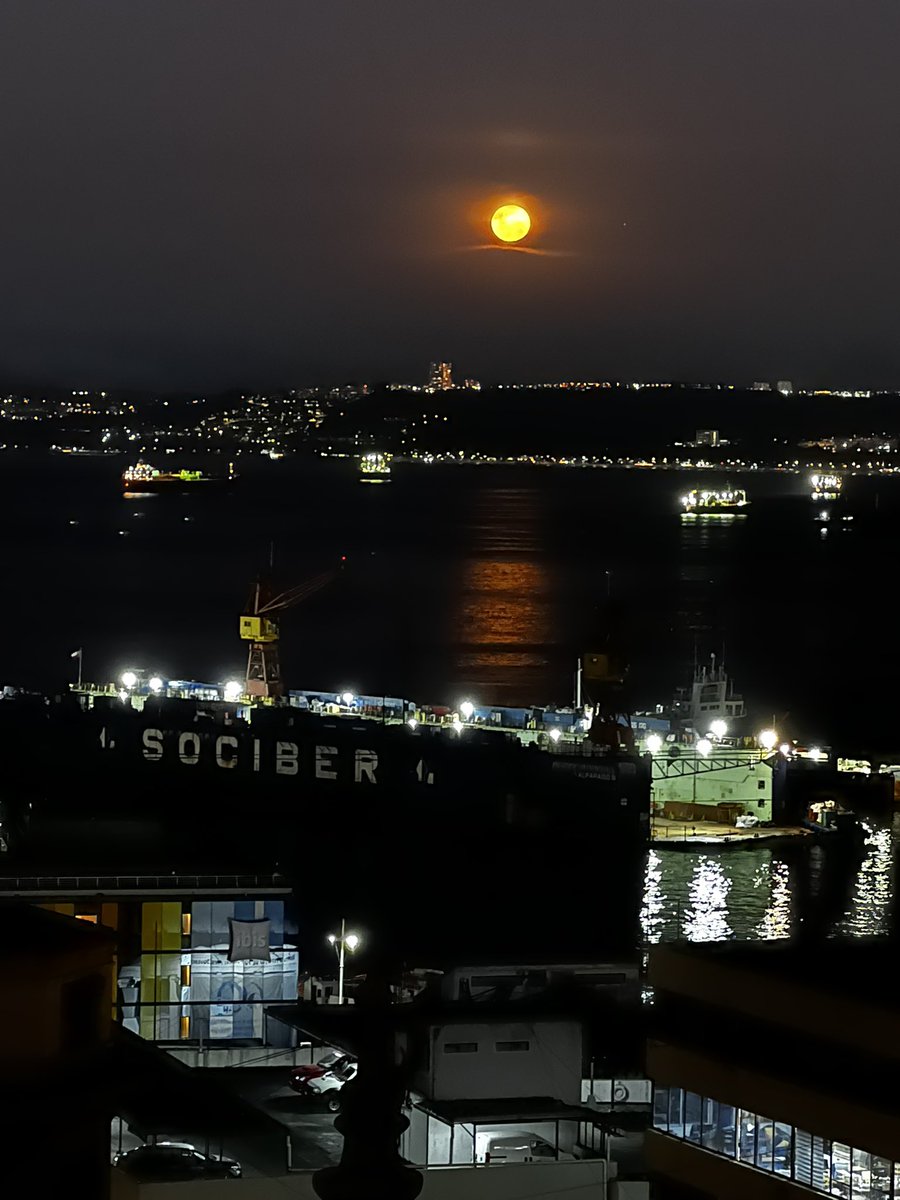 Macarena Carroza tweet media