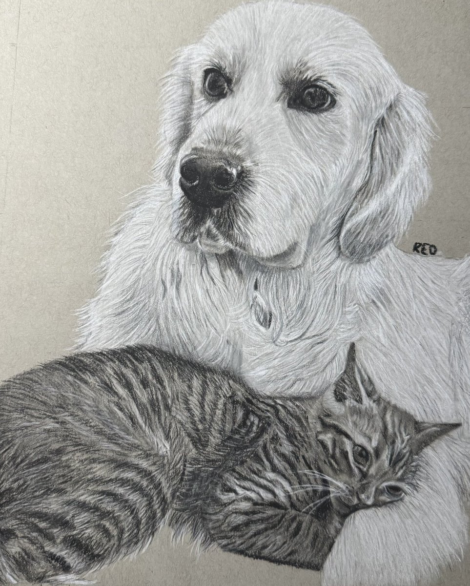 beccasdesignstx's tweet photo. One of our Christmas commissions!! And first cat🐱! 

#beccasdesigns #art #artist #charcoal #drawing #giftideas #christmas #dfw #lubbock #dallas #uptown https://t.co/dKSR5PS5KV