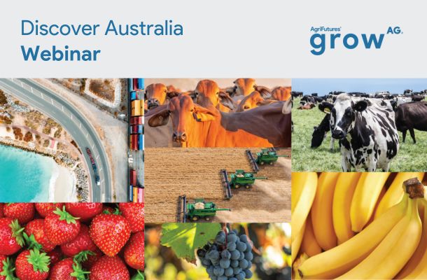 🌏 Register now: Discover Australia Webinar 🌏 

Join us this Feb and gain valuable insights into opportunities shaping Aus's innovation landscape.

Wednesday 5 February 2025
Session 1: 8:00AM AEDT 👉 bit.ly/3WaD6ZR
Session 2: 7:30 PM AEDT 👉 bit.ly/3DGrjMf