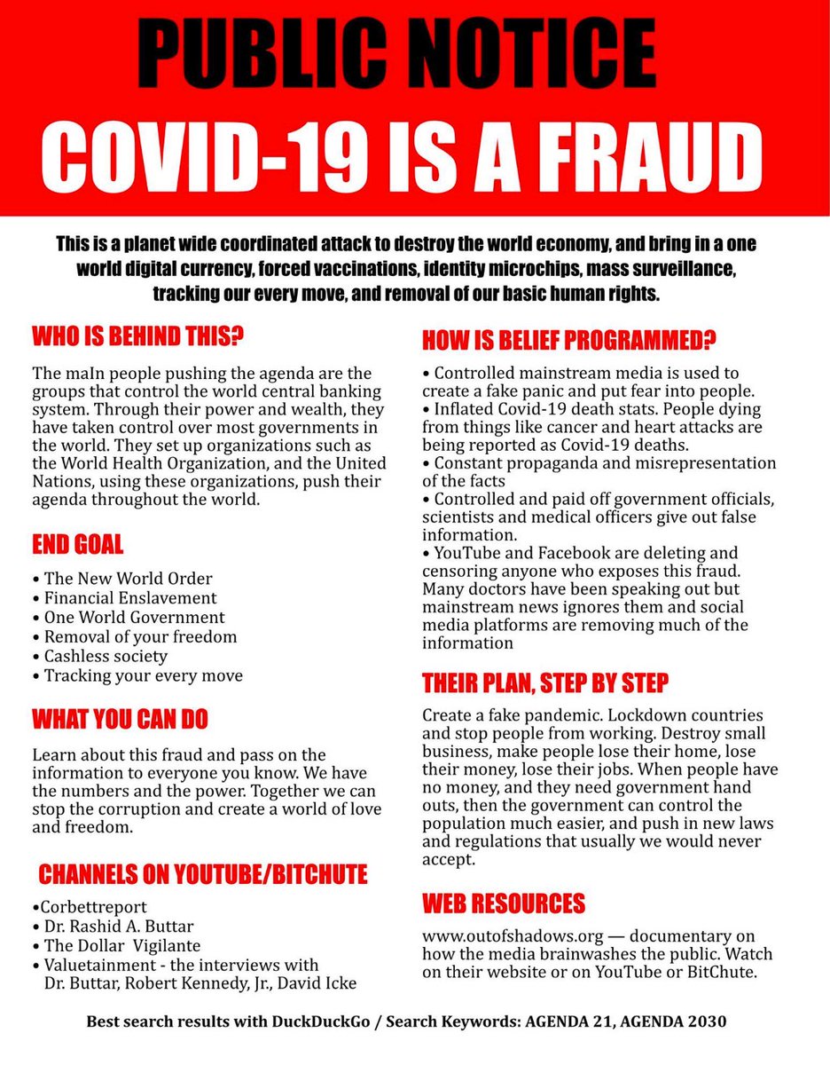 Liz Churchill tweet media