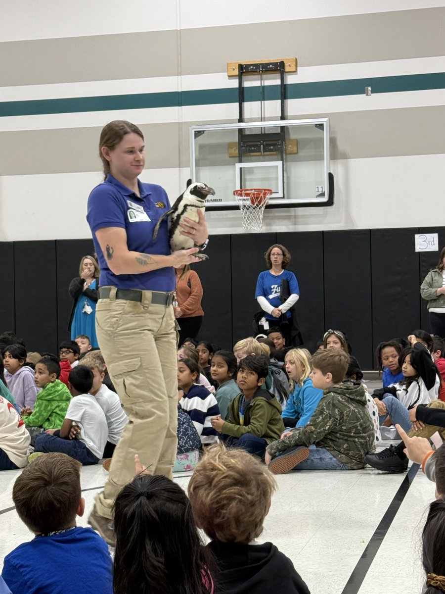 Haley Radcliffe, M.Ed (@haleypradcliffe) on Twitter photo The <a href="/DallasZoo/">Dallas Zoo</a> came to <a href="/FurrElem/">Furr Elementary School</a> in December and it was AMAZING! My students are still talking about it. It’s been a great hook for our nonfiction research and informational writing unit! The <a href="/DallasZoo/">Dallas Zoo</a> came to <a href="/FurrElem/">Furr Elementary School</a> in December and it was AMAZING! My students are still talking about it. It’s been a great hook for our nonfiction research and informational writing unit!