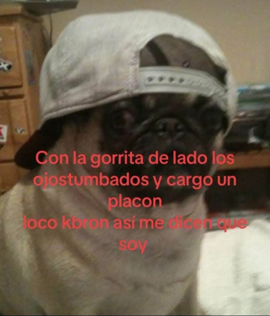 ElJeringasLoko's tweet photo. yo https://t.co/MDXmeYUqg0