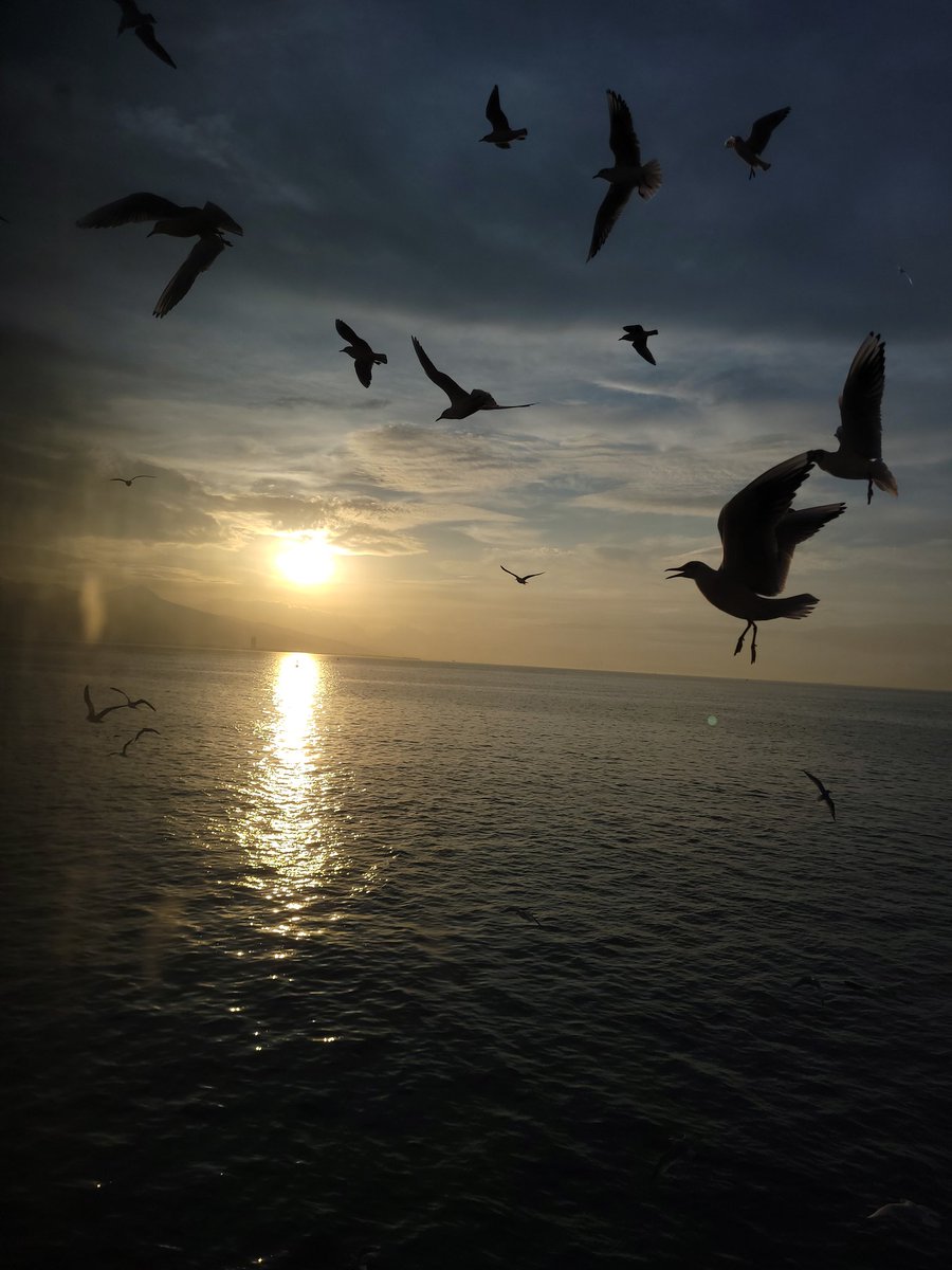 İzmirde çektiğim en iyi foto olabilir