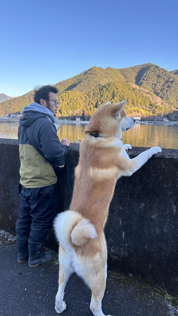 bibi0617bibi's tweet photo. 一緒に湖を眺めるわんこ🤣💖 https://t.co/ZMzA9PnkPr