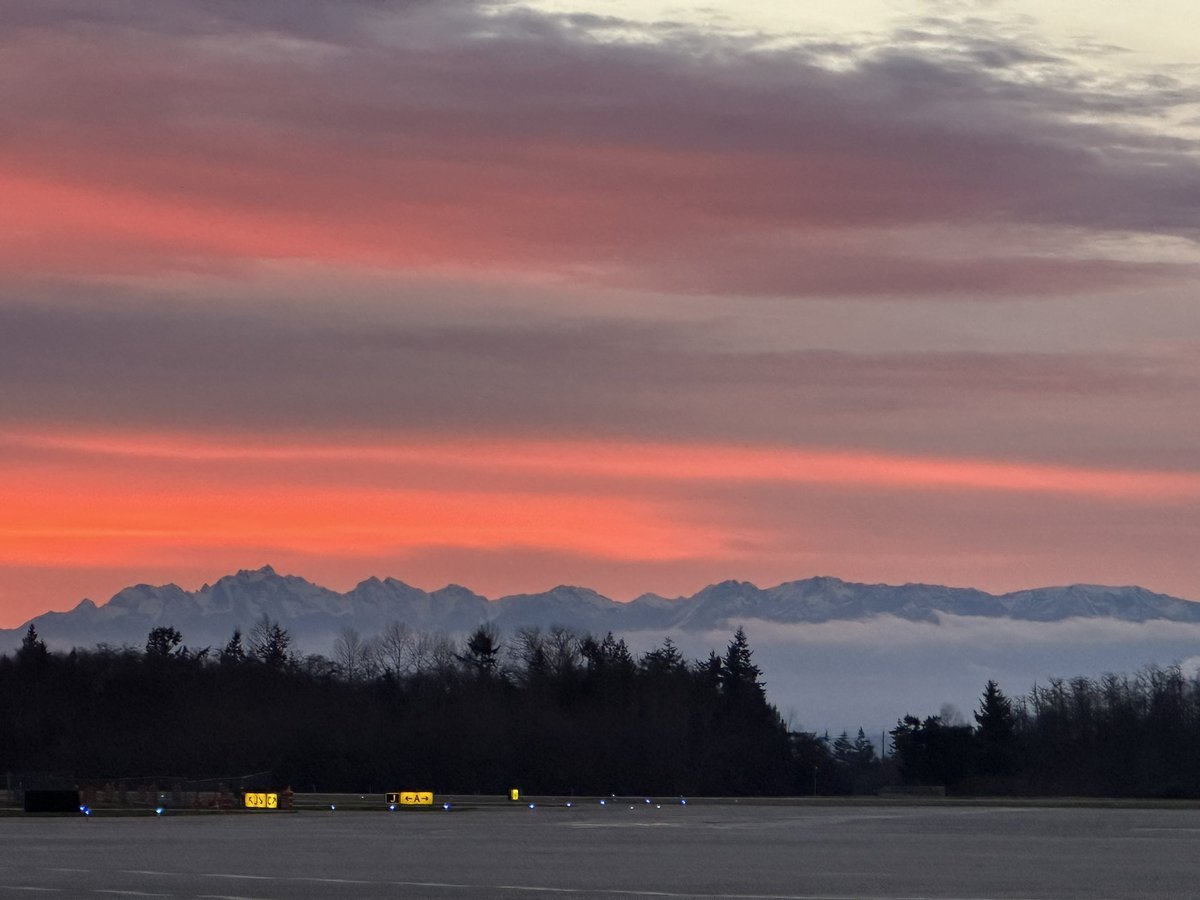 Paine Field Airport tweet media