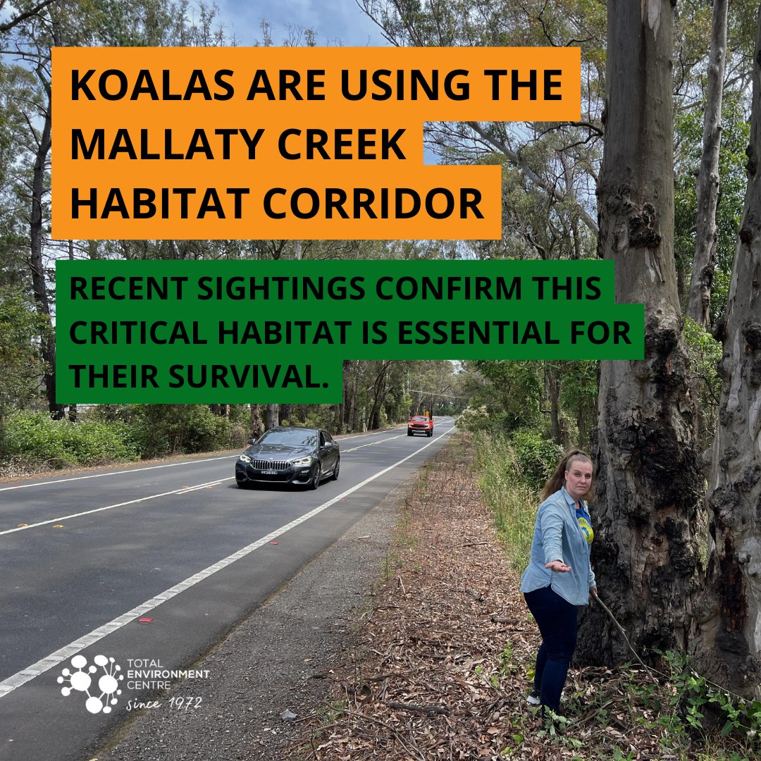 Total Enviro Centre tweet media