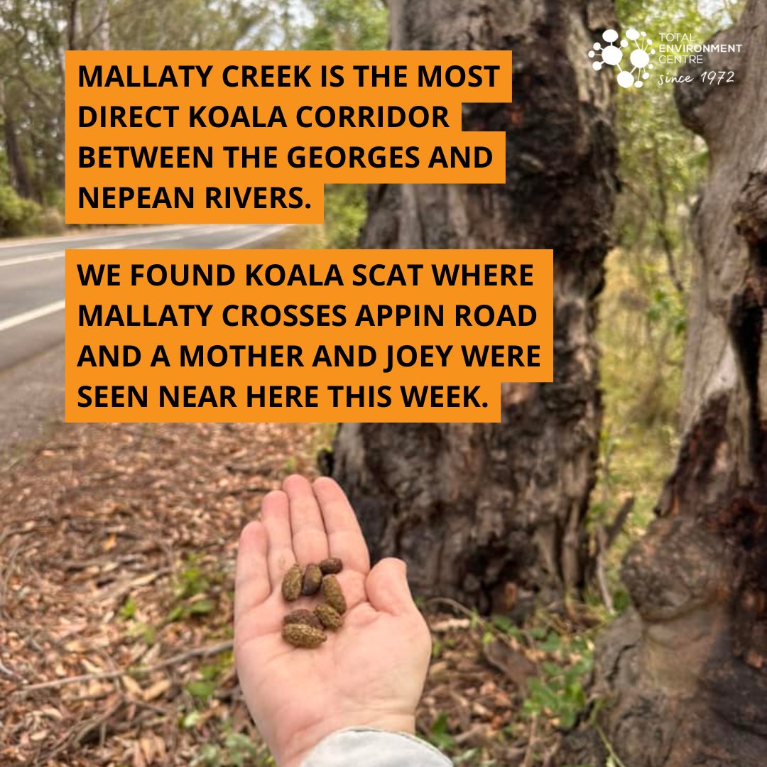 Total Enviro Centre tweet media