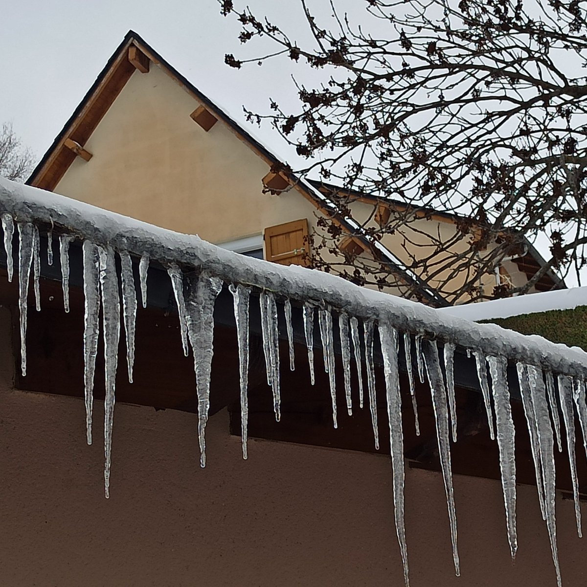 "Per sant Sebastià fa un fred que no es pot aguantar". 20 de gener

"Entre Sant Antoni i Sant Sebastià, més fred que entre tot l'any fa". Entre el 17 i el 20 de gener