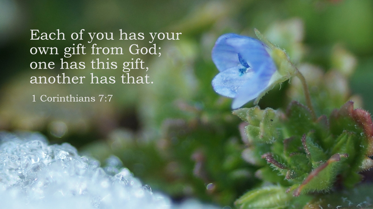bible_line tweet picture