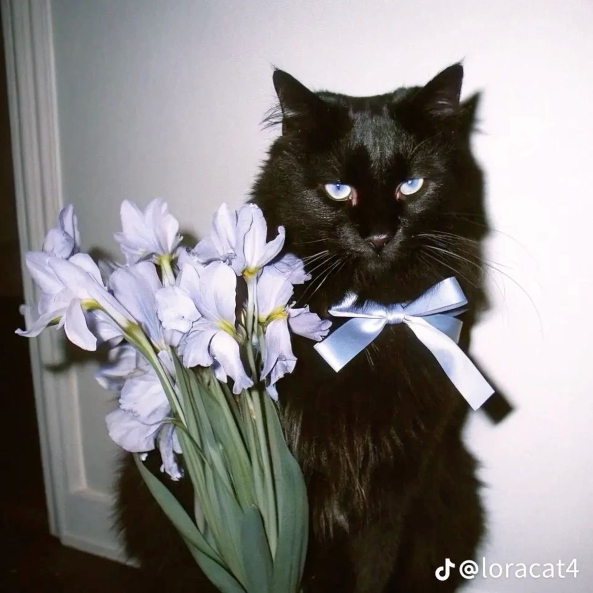คุนจจแม่น้องมุจิ๋ว tweet media