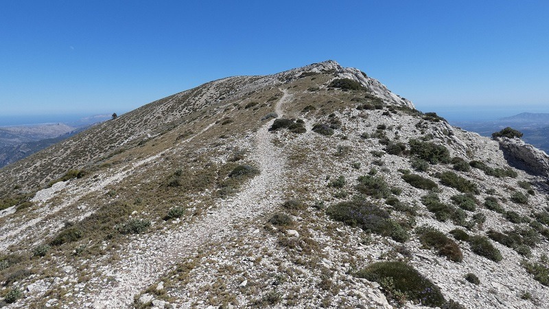 Pobles Abandonats tweet media