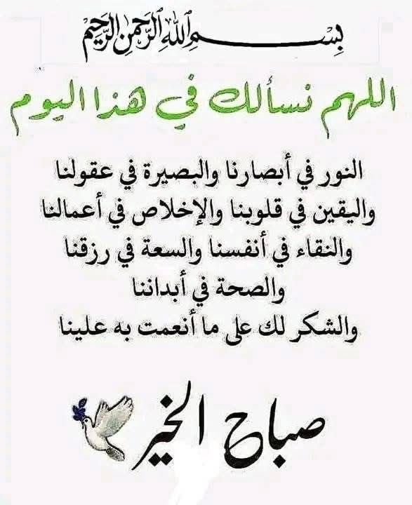 عبدالعزيز محمد الكوير (@abadalaziz123) on Twitter photo 